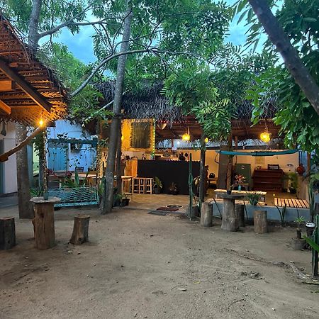 阿鲁甘湾 Cactus Arugambay旅舍 外观 照片