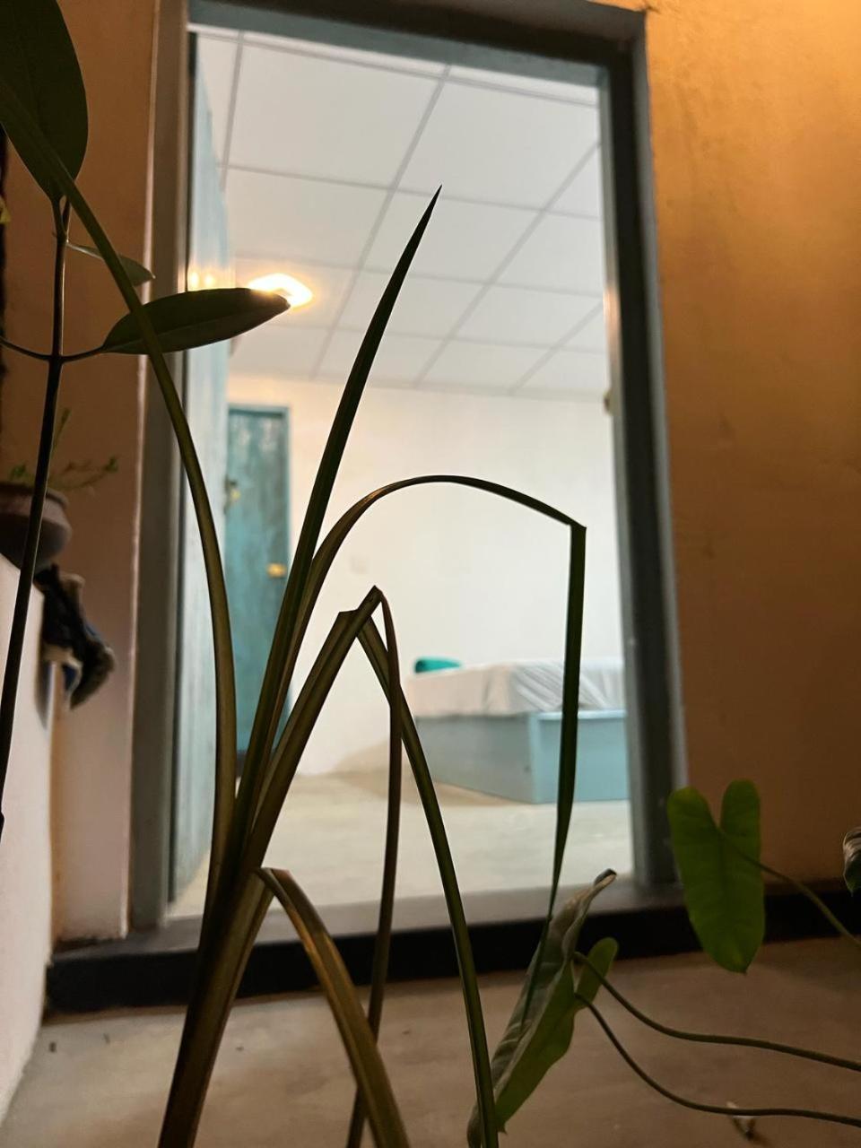 阿鲁甘湾 Cactus Arugambay旅舍 外观 照片
