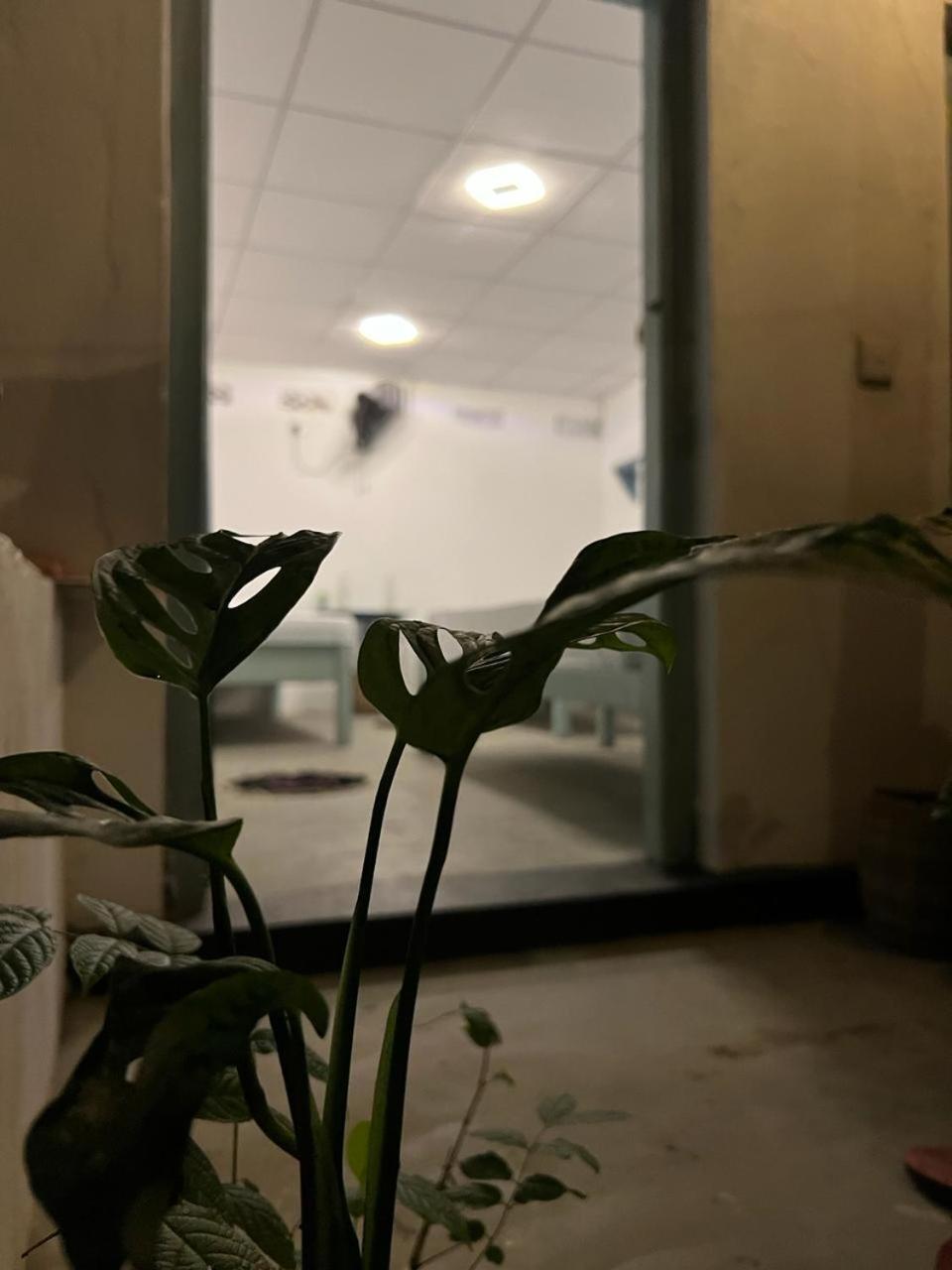 阿鲁甘湾 Cactus Arugambay旅舍 外观 照片
