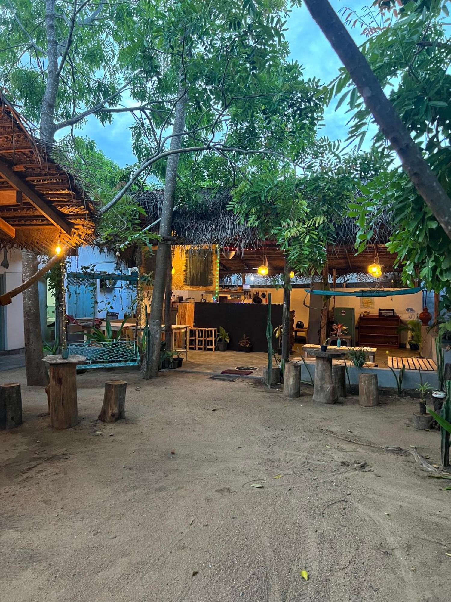 阿鲁甘湾 Cactus Arugambay旅舍 外观 照片