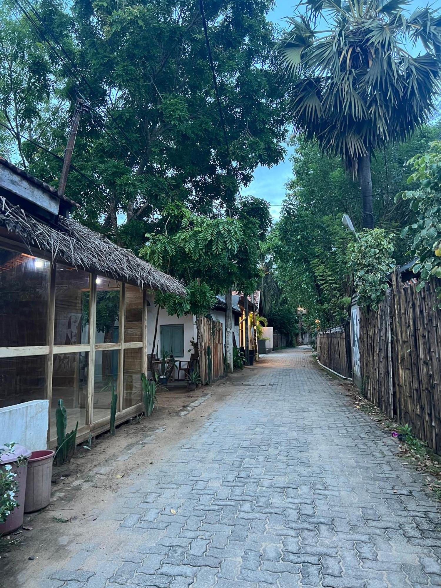 阿鲁甘湾 Cactus Arugambay旅舍 外观 照片
