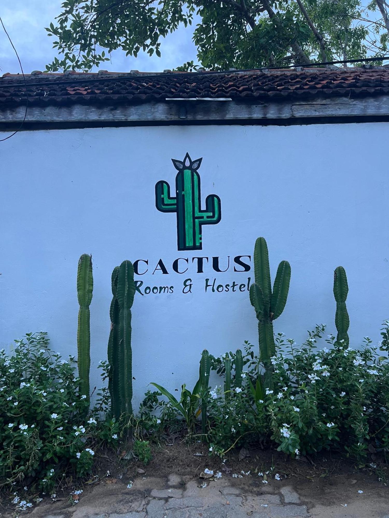 阿鲁甘湾 Cactus Arugambay旅舍 外观 照片