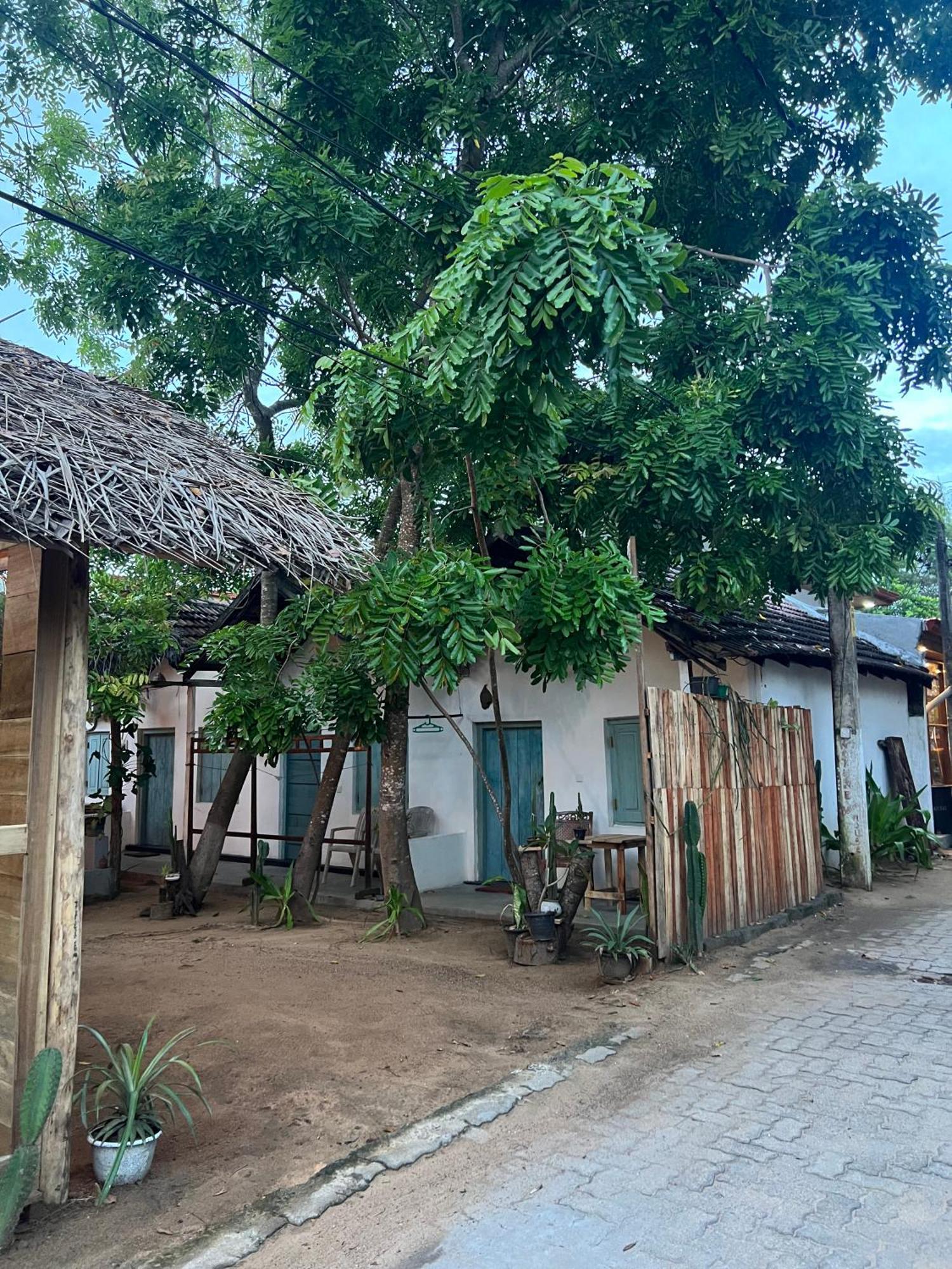 阿鲁甘湾 Cactus Arugambay旅舍 外观 照片