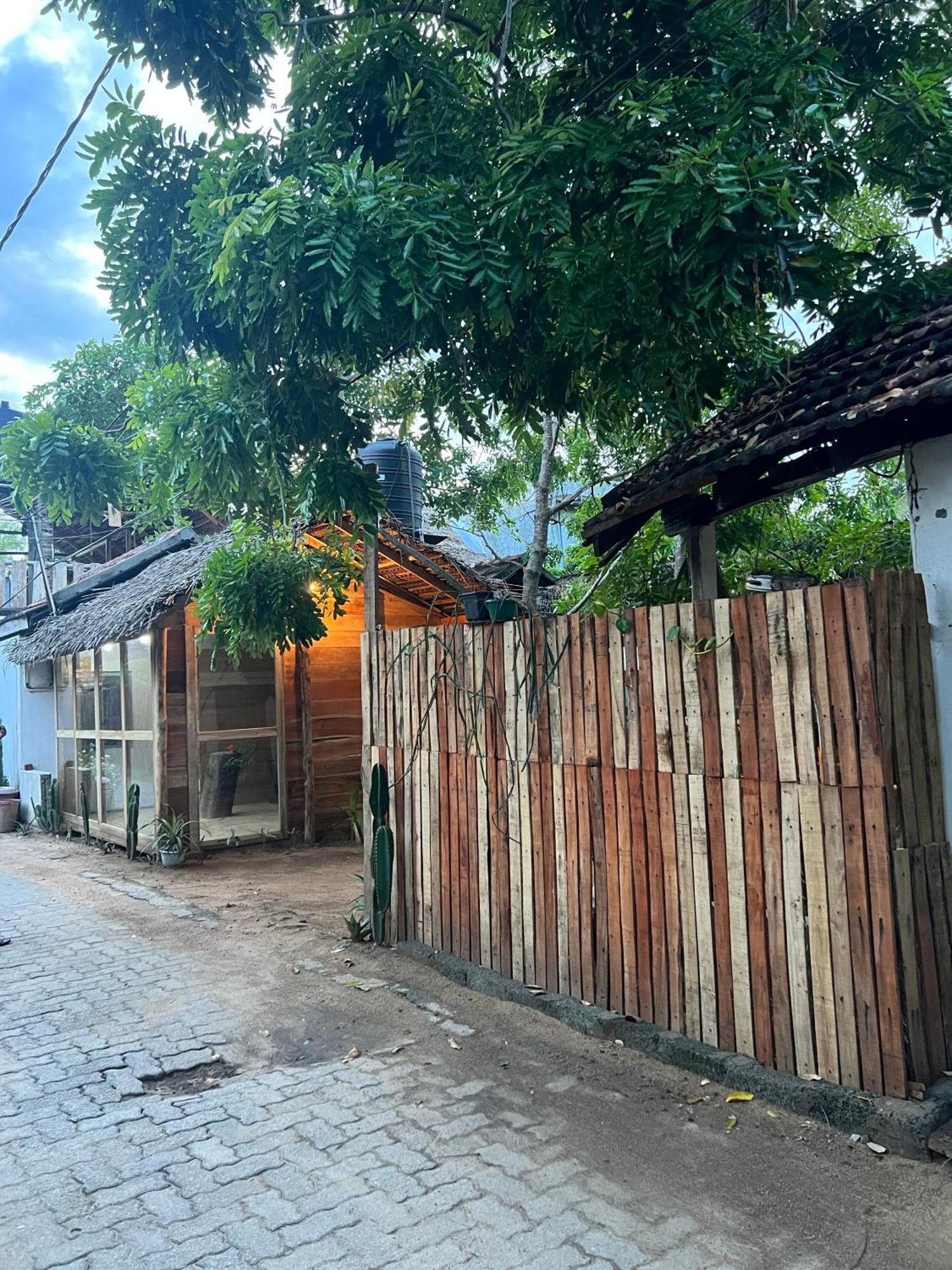 阿鲁甘湾 Cactus Arugambay旅舍 外观 照片